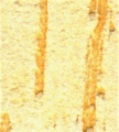 gel01_r2_c2 gel01_r2_c2