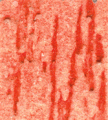 gel01_r2_c4 gel01_r2_c4