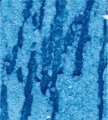 gel01_r4_c2 gel01_r4_c2