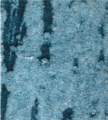 gel01_r4_c6 gel01_r4_c6
