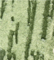 gel01_r6_c4 gel01_r6_c4