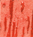 gel01_r6_c6 gel01_r6_c6