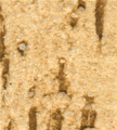 gel02_r2_c4 gel02_r2_c4