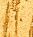 gel02_r4_c2 gel02_r4_c2