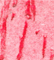 gel02_r4_c4 gel02_r4_c4