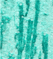 gel02_r6_c2 gel02_r6_c2