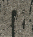 gel02_r6_c4 gel02_r6_c4