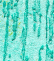 gel02_r6_c6 gel02_r6_c6