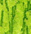 gel02_r8_c4 gel02_r8_c4