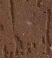 marron_terra marron_terra