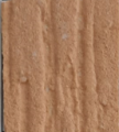 papaia papaia