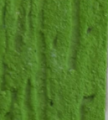 verde_limao verde_limao