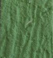 verde_nilo verde_nilo